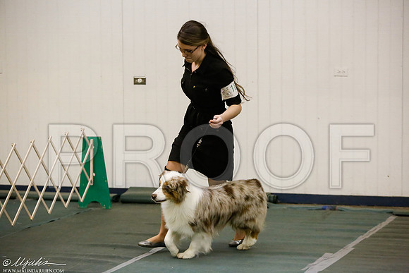 _MJ_5714-DentonMar2015-HR3