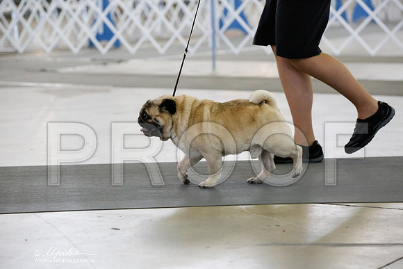 _HR_3611-DallasJul2014-HR3
