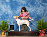 Pointer #6 Sat New Grand Nancy Parr Judge Eugene Blake