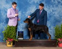 Rottweiler #10 Sat BOW Vorbeck Alexandra Anthony Siress Agent Perry Payson Judge Darryl Vice