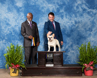 French Bulldog #15 Sat BOB Liu Ziheg Mario Castro Agent Perry Payson Judge Eugene Blake