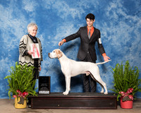 Pointer #J750 Sat RBJr Cortlund Towell Judge Margo Klinger