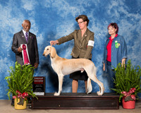 Saluki #5 Sat G2 Thornton Gerry Lori May Marinell McCowen Agent Gerry Thornton Judge Eugene Blake