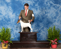 Fox Terrier Smooth #14 Sat Malzoni Victor Jr Phil Amy Booth Dr C Spears Agent Thomas Katzenstein