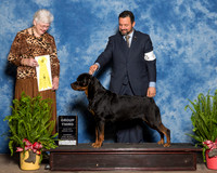 Rottweiler #6 Sat G3 Swearingen Kim Chris Agent Clint Livingston Judge Joan Zielinski