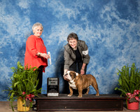 Bulldog #7 Sun SD Bentley Patricia M Judge Margo Klinger