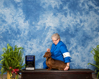 Dachshund #5 FRI G1 Lara Marina Renee DVM +J Eugene Blake (both)