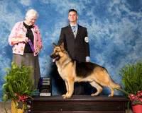 German Shepherd Dog #9 Sun WD Heckathorn Dean Judge Joan Zielinski
