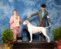 Pointer #J750 Sun Best Jr Courtlund Towell Judge Karen Ahrends