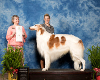 Borzoi #9 Sun G4 Jean Durdin Judge Karen Ahrends
