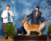 Golden Retriever #16 Sun G1 Andras Alisa Jim Andras Kathy Whipple Agent Clint Livingston Judge Linda Riedel