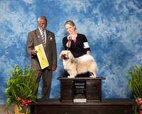 Tibetan Spaniel #7 Sun G3 Krall Gail Judge Eugene Blake