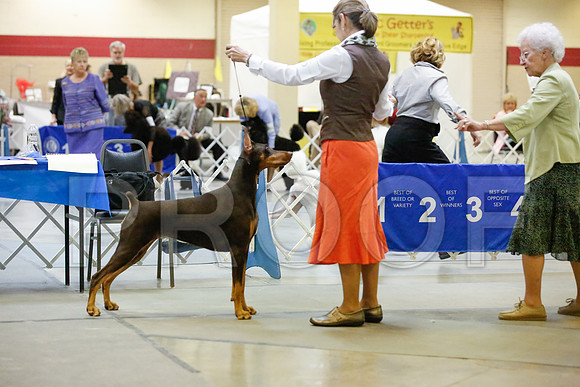 _JJ_7704-AmarilloSept2014-HR3