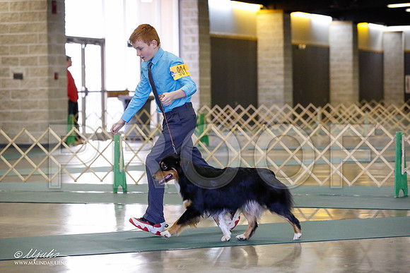 _JN_1315-BeltonJan2015-HR3