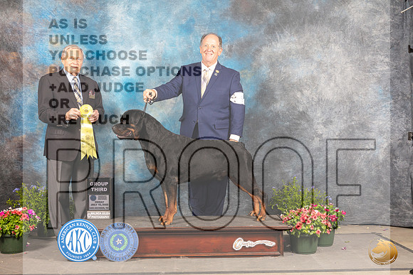 Rottweiler #9 Fri G3 Judge David Bolus_MJ_0104_SA_2022_HR3