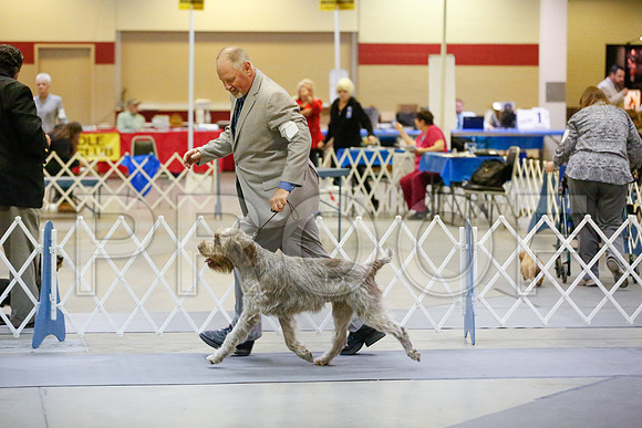 _JJ_7052-AmarilloSept2014-HR3