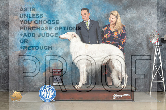 Borzoi #5 Fri G2 Judge Debra Thornton_MJ_4236_Amarillo_2022_HR3