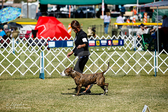_JJ_1108-AlamogordoOct2014-HR3