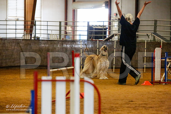 _MJ_2577-AfgBeltonOct2014-HR3