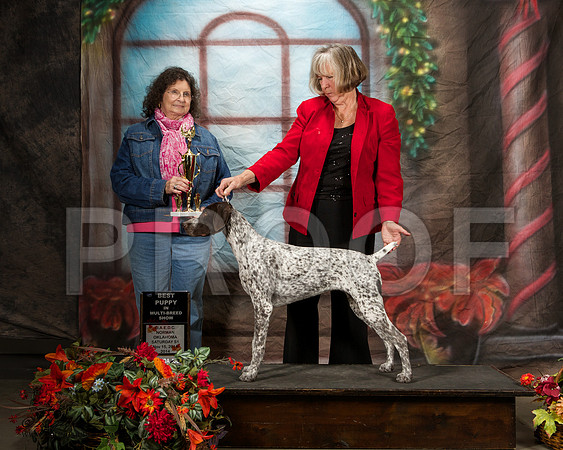 _ST_7077-NrmnNov2014-HR3