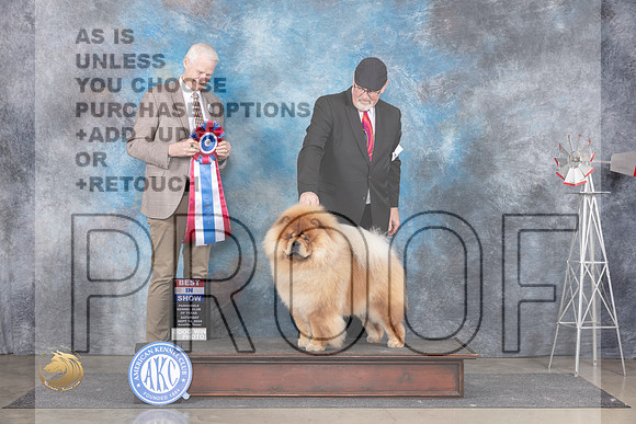 Chow #5 Sat BIS Judge Jon Cole__JP_6048_Amarillo_2024_HR3