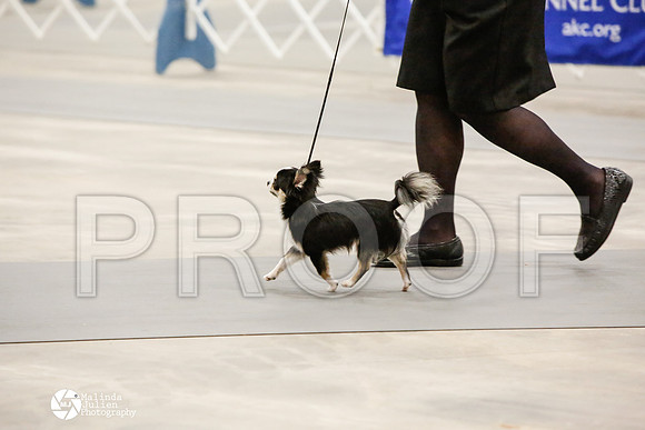 _CK_6738-AblnMay2014-web