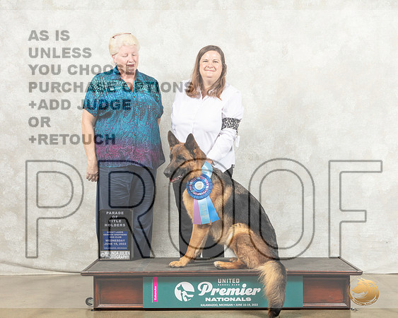 German Shepherd Dog #211 Wed POC Judge Karen Cattin_MMJ_6658_Premier_2022_HR3