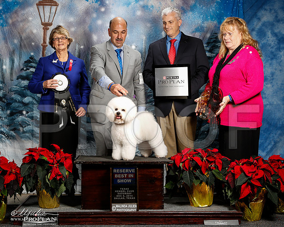_ST_8946-2-DallasDec2014-HR3