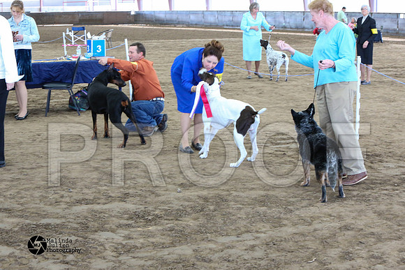 MJ2_1284-WacoFeb14-HR