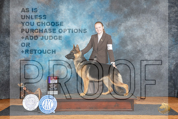 German Shepherd Dog #8 Fri WBBOS Judge Karen Hynek__JP_6910_MARSHALL_2024_HR3