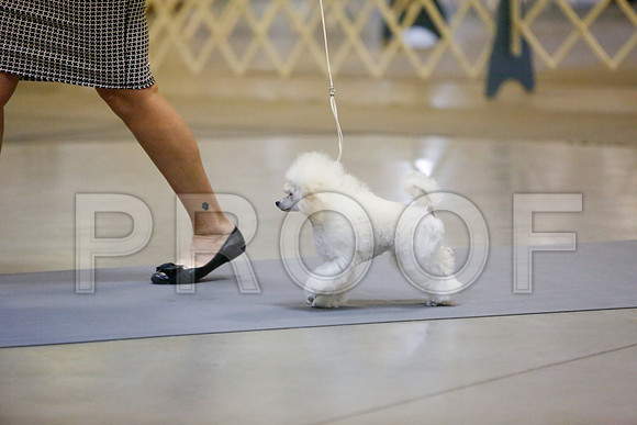_JJ_2324-AmarilloSept2014-HR3