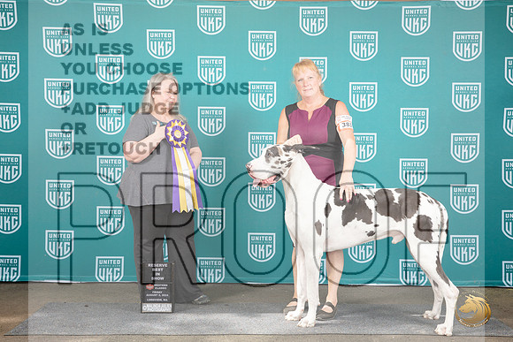 Great Dane #381 Fri RBIS Judge Malinda Julien__JP_1191_Longview WA_2024_HR3