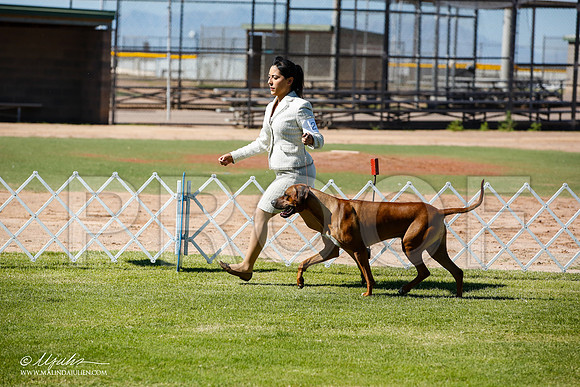 _JN_6009-AlamogordoOct2014-HR3