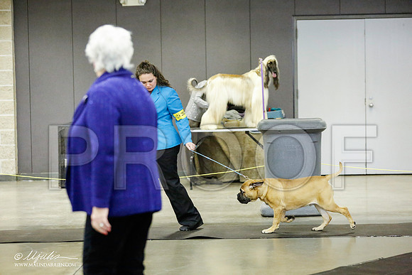_RH_1533-BeltonJan2015IABCA-HR3