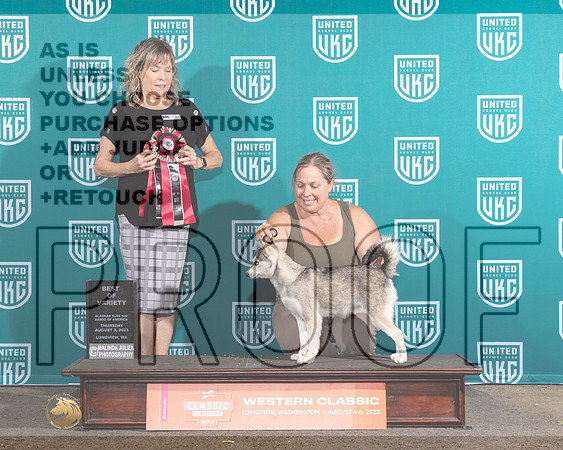 Alaksan Klee Kai #123 Thur BOV Judge Lynn Martin-MJP_8546e-WA2023_HR3