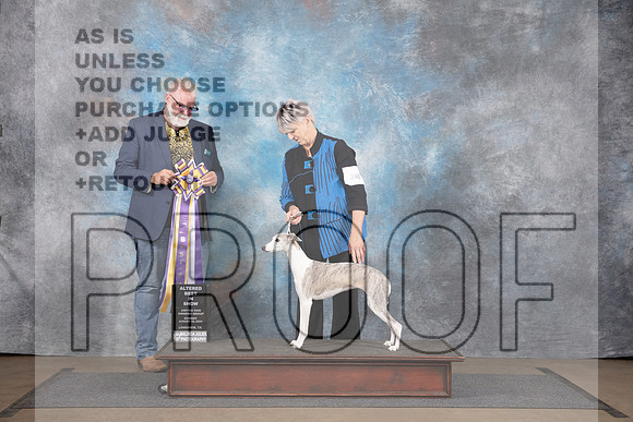 Whippet #248 Sun BIS Judge Chandra Martin Matthew Proctor__JP_3151_LongviewTX_2024_HR3