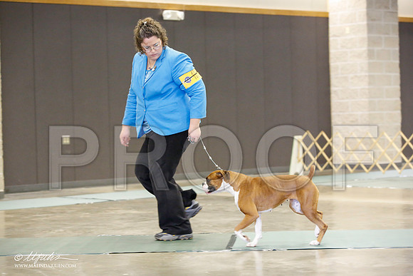 _JN_1646-BeltonJan2015-HR3