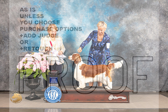 Welsh Springer Spaniel #6 Sat G4 Judge Polly Smith_MJ_7300_Houston_2022_HR3