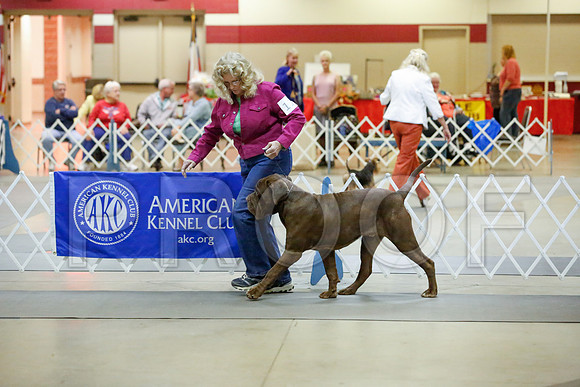 _JJ_6792-AmarilloSept2014-HR3