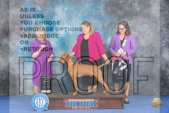 Vizsla #21 Wed AOM Judge Ida Kavafian__JP_7453_Houston_2024_HR3
