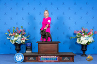 French Bulldog #9 FRI WD BOW Judge Douglas Johnson