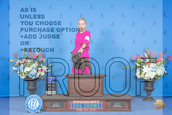 French Bulldog #9 FRI WD BOW Judge Douglas Johnson__JP_9271_Houston_2024_HR3