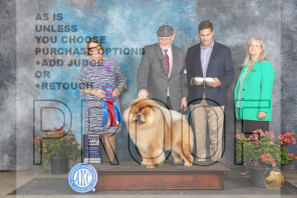Chow Chow #5 Sat RBIS Judge Elizabeth ‘Beth’ Sweigart__JP_5584_San Antonio_2024_HR3