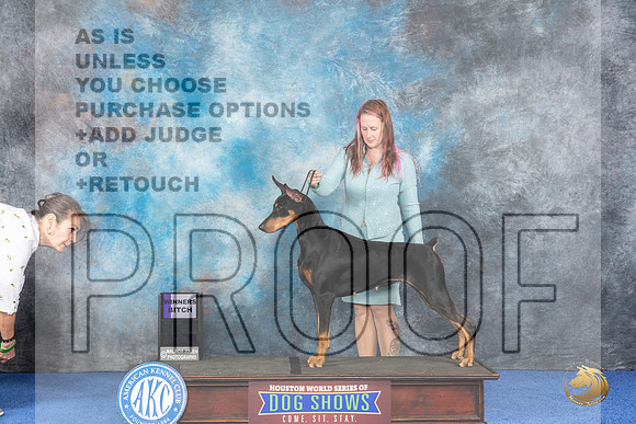 Doberman #28 WED WB Judge Alisa Brotherhood__JP_6699_Houston_2024_HR3