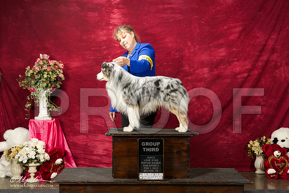 _ST_3039-BeltonJan2015IABCA-HR3