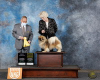 Barbara Eymard UDOG Longview TX Jan 31 - Feb 2 2025