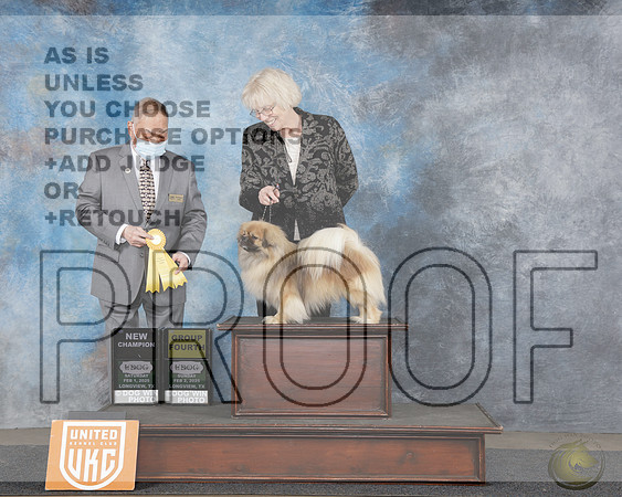 Tibetan Spaniel #1245 Sat NCH G4 Judge Stan MatsumotoTibetan Spaniel #1245 Sat NCH G4 Judge Stan Matsumoto_WP_4425e-UDOG Longview TX Jan 31 - Feb 2 2025-HR3