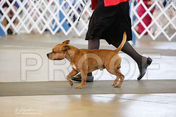 _JJ_7381-DallasJul2014-HR3