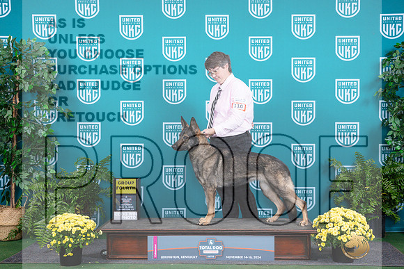 German Shepherd Dog #110 Sat G4__JP_2835_UKCTDI2024_HR3