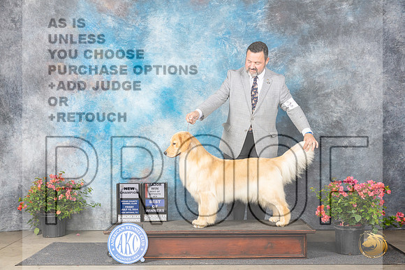Golden Retriever #10 Fri BOWMBOSCH Judge Victor Rosado__JP_4139_San Antonio_2024_HR3